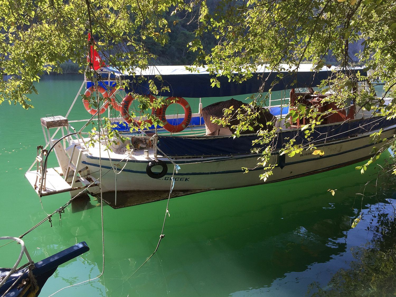 Wooden river boats moored along the reed-lined Dalyan channel